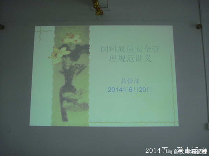 員工風(fēng)采1